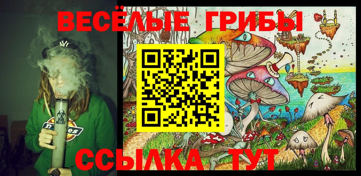 наркота  Псилоцибиновые грибы мицелий  Вход с VPN  Абинск  Псилоцибиновые грибы Psilocybine cubensis 