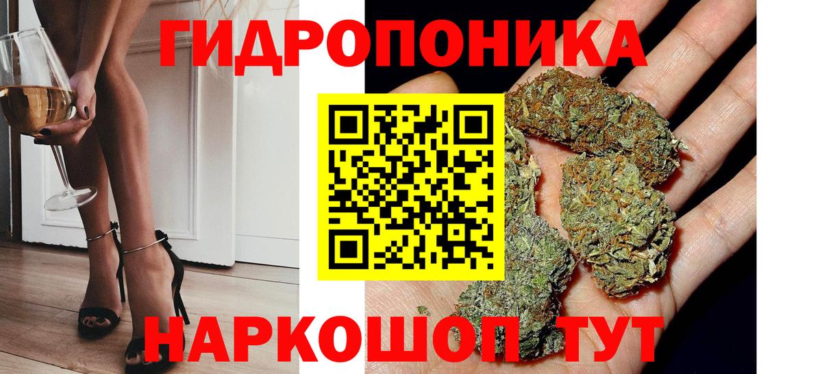 Каннабис сатива Абинск